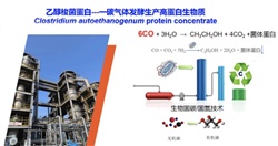 重大突破！中國農(nóng)科院首次實現(xiàn)從一氧化碳到蛋白質(zhì)的合成，并形成萬噸級工業(yè)產(chǎn)能